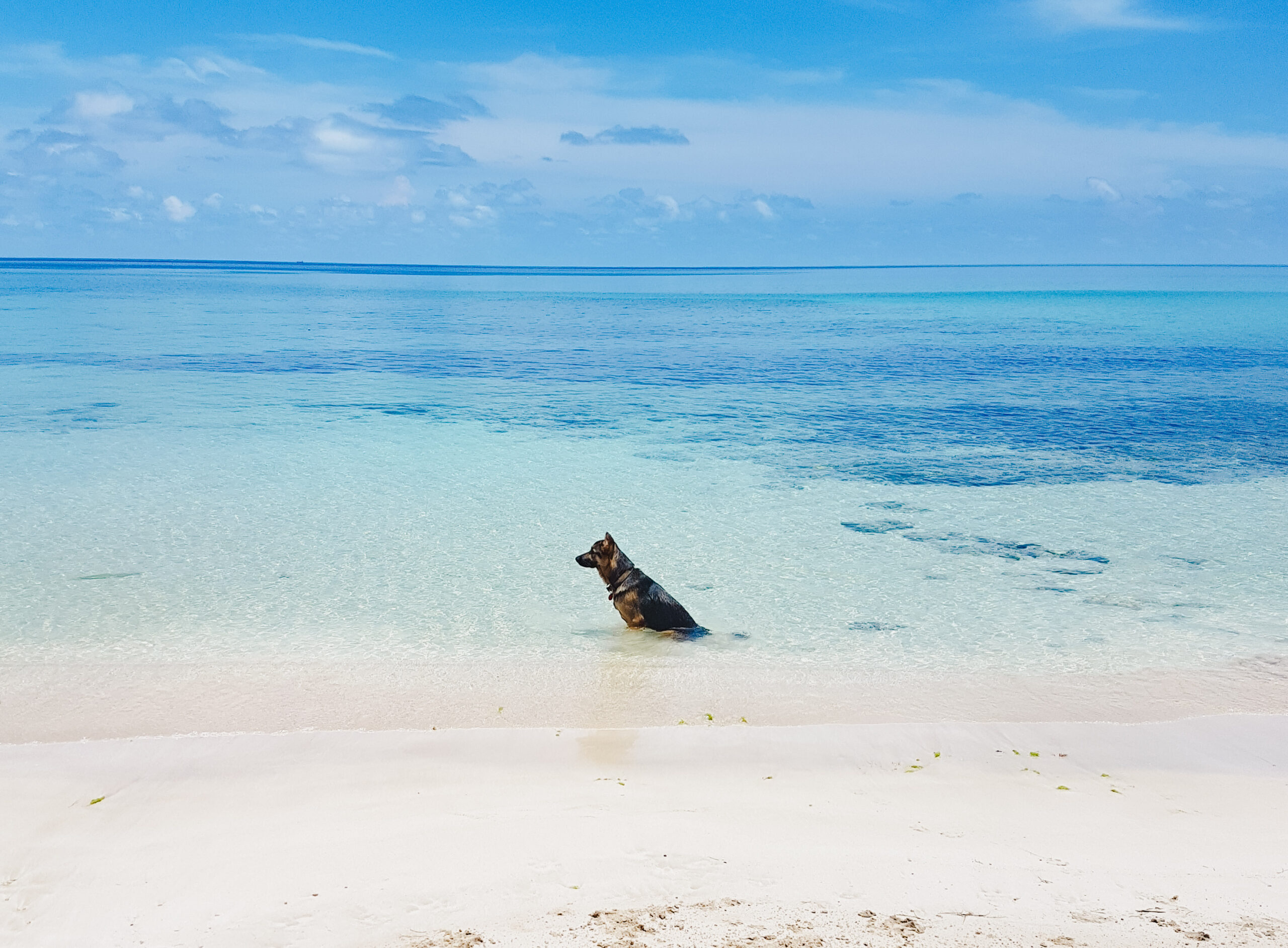 little corn island nicaragua